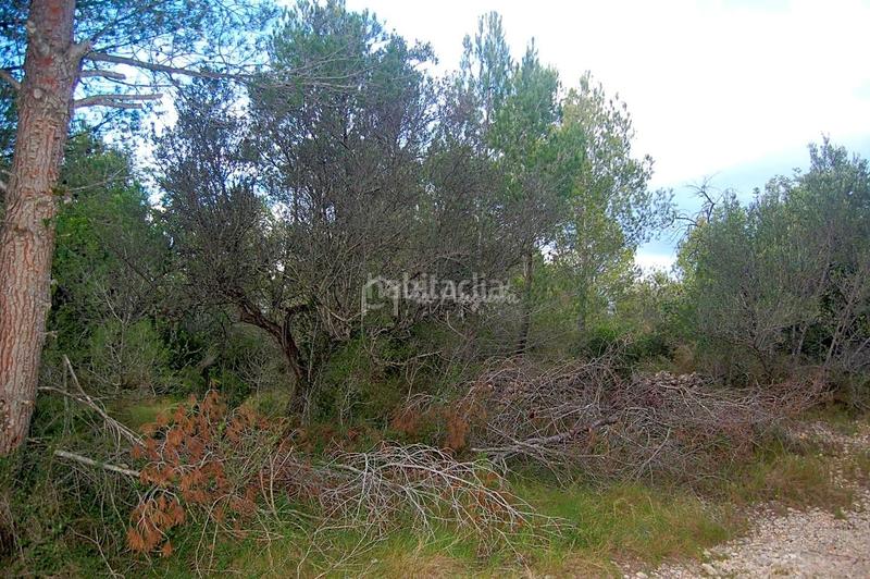 Foto b434b4a6-f75e-49d8-b517-1a8562b13be2. Rural plot in L´Ametlla de Mar Ametlla de Mar (L´)