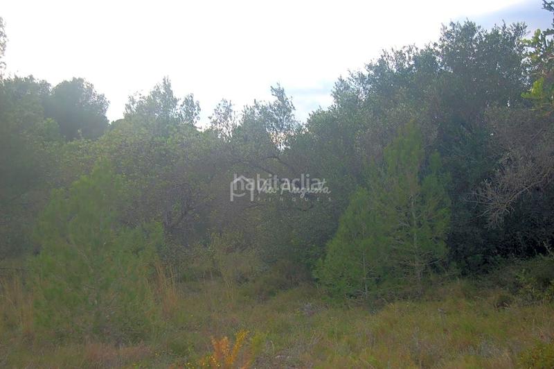 Foto f9981332-cdb4-4493-b9fc-ea1f531b585e. Rural plot in L´Ametlla de Mar Ametlla de Mar (L´)