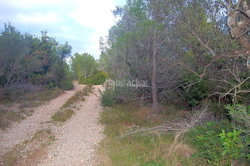 Foto 957af11f-6324-45fe-9b9e-0ffca6a457d0. Finca rústica a L´Ametlla de Mar Ametlla de Mar (L´)