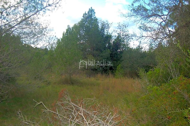 Foto 99387996-fa00-4b58-8a06-c5588d6b0d7d. Finca rústica a L´Ametlla de Mar Ametlla de Mar (L´)