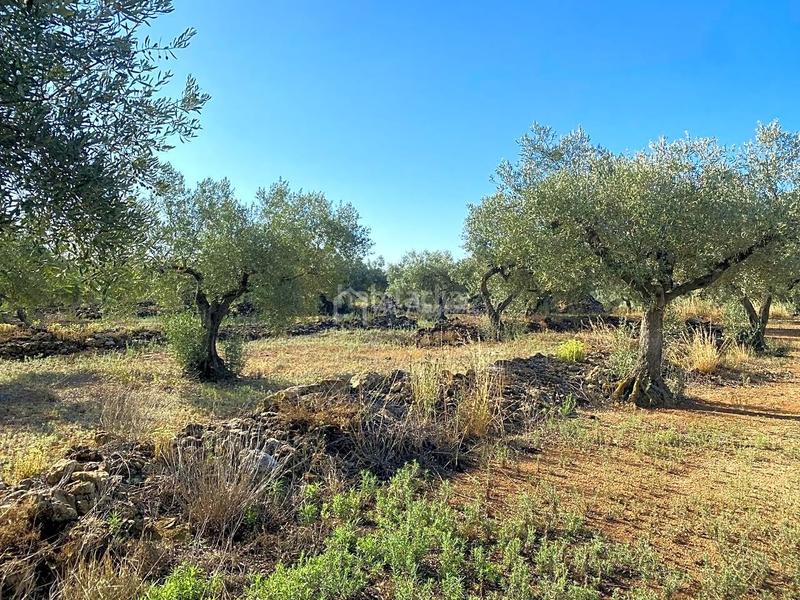 Foto 47e94760-3fd4-40f5-8f66-d7bba4b66002. Landgut in Perelló (El)