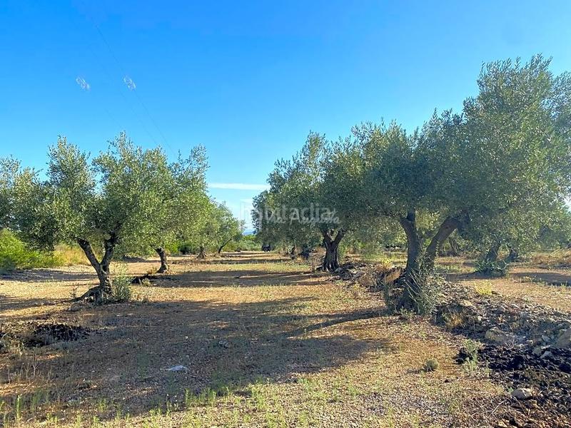Foto 51f82379-45dd-41c4-b4be-14423b91862f. Landgut in Perelló (El)