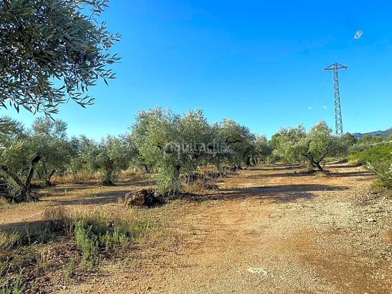 Foto 69c1ec33-231b-4dd0-8126-d88568c62a55. Landgut in Perelló (El)
