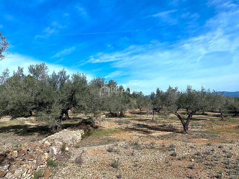 Foto 0ab827eb-6a51-42e1-a0ca-5d835801eecd. Finca rústica en Perelló (El)