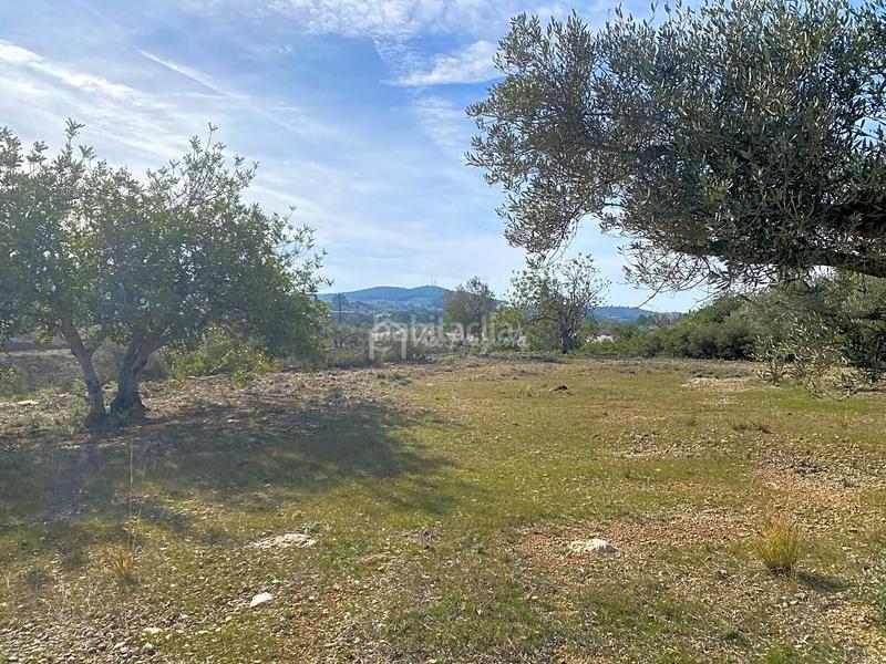 Foto 0de3ea4a-90ae-4dfe-a4ae-35c370d30901. Finca rústica en Perelló (El)