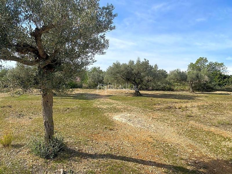 Foto 7a0b27c5-68f1-4589-a54e-d81edf0095d8. Finca rústica en Perelló (El)