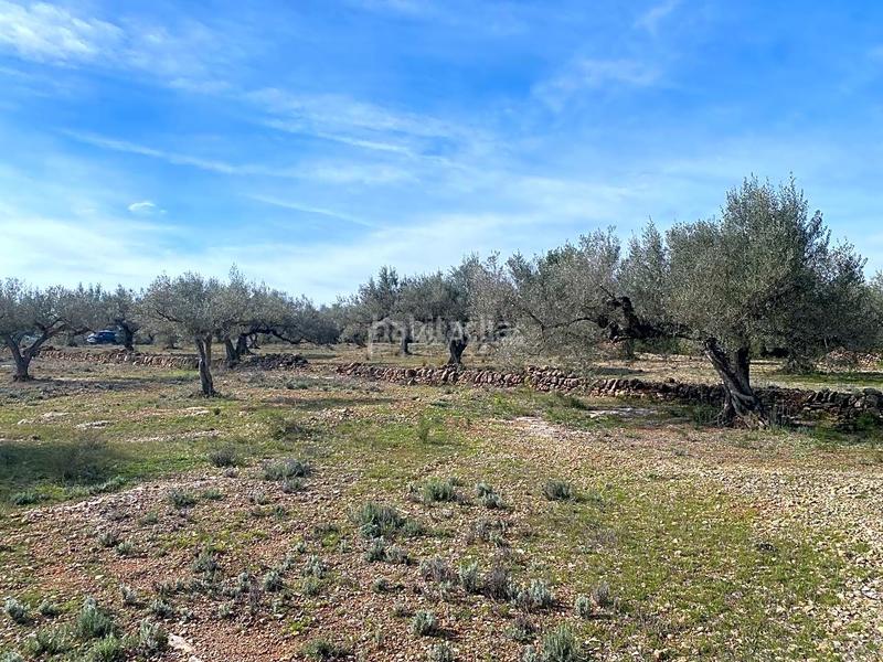 Foto 83fb9c1a-7472-45cd-b147-ca77c0b3f787. Finca rústica en Perelló (El)