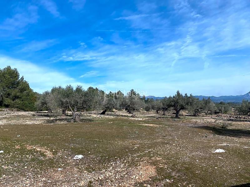Foto 864512ff-1077-40da-9fb1-d41ef0a61163. Finca rústica en Perelló (El)