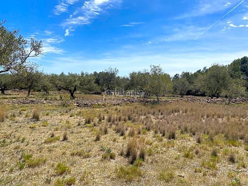Foto 232a5b67-0611-46a9-bf29-bb54d41ceb51. Rural plot in L´Ametlla de Mar Ametlla de Mar (L´)
