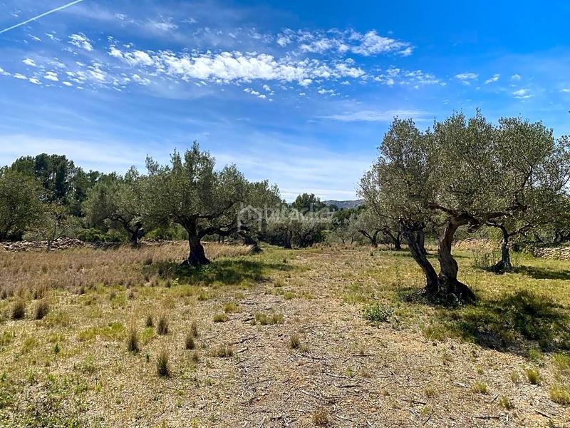 Foto 4a53e3ba-c825-4d79-90b8-f797f3e74779. Rural plot in L´Ametlla de Mar Ametlla de Mar (L´)