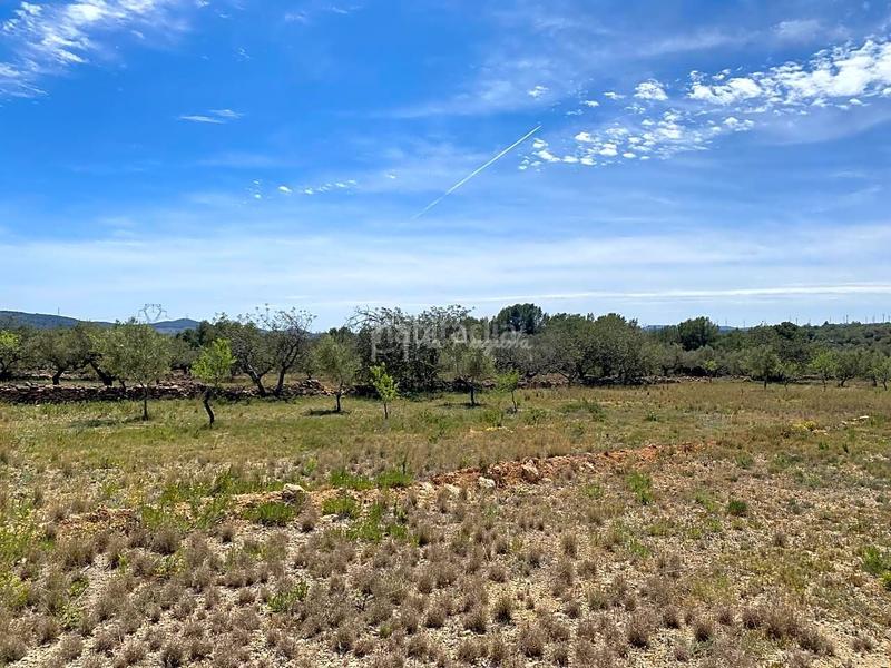 Foto 8f26186d-b76a-4e0c-b1b7-027af78142f1. Rural plot in L´Ametlla de Mar Ametlla de Mar (L´)