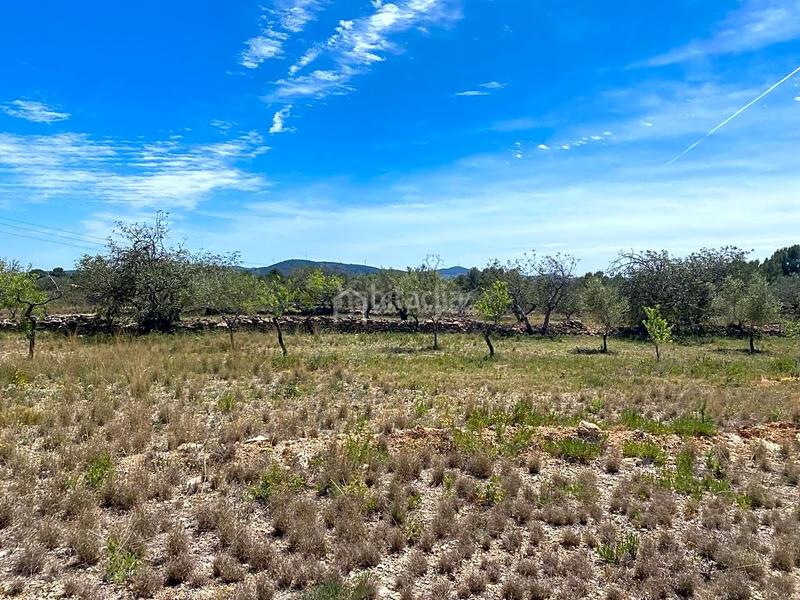 Foto e4079420-b75f-4c43-85a6-b67c8565bc9e. Rural plot in L´Ametlla de Mar Ametlla de Mar (L´)