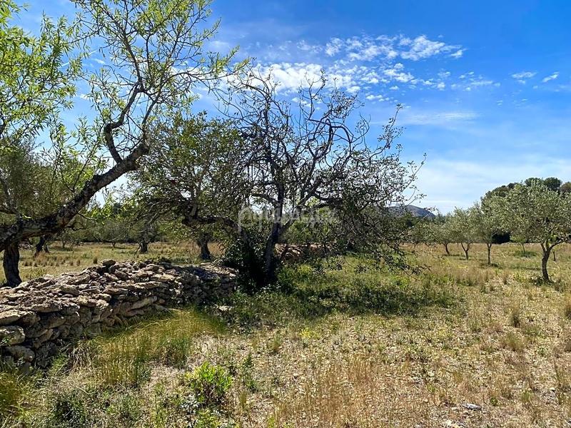 Foto fc94fb76-1097-4383-885e-e1e749b25bd9. Rural plot in L´Ametlla de Mar Ametlla de Mar (L´)