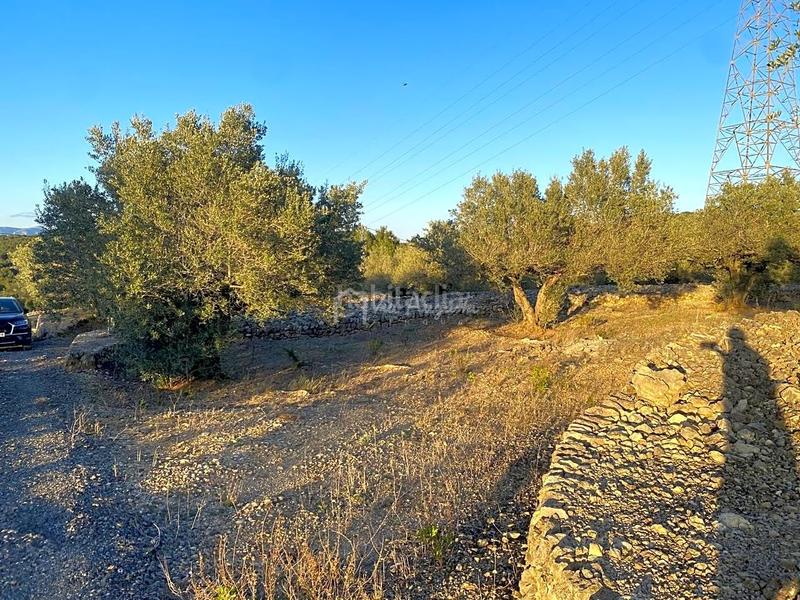 Foto 677c9de5-77fa-4d25-b917-1752063020ef. Finca rústica a Perelló (El)
