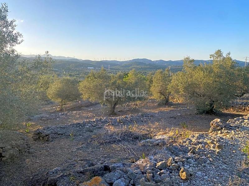 Foto 84275239-96ca-4e12-aebc-b2a1e06f0a50. Finca rústica a Perelló (El)