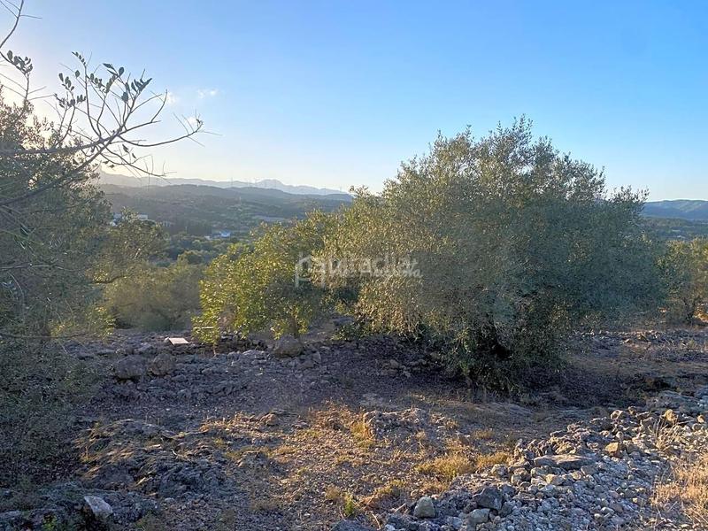 Foto c680392c-d4d4-4b31-a8b8-3280c5d15d97. Finca rústica a Perelló (El)