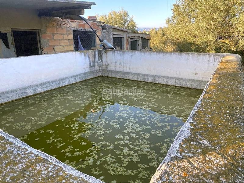 Foto f30323d4-bda1-4b86-aacf-951457ca03a7. Finca rústica a Perelló (El)