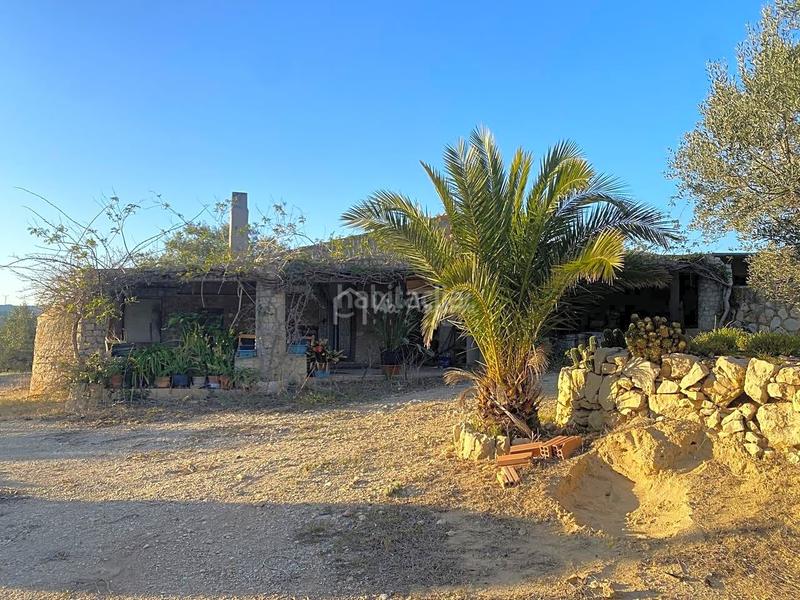 Foto fcccef1c-35ce-4d00-99c4-5be705c572eb. Finca rústica a Perelló (El)