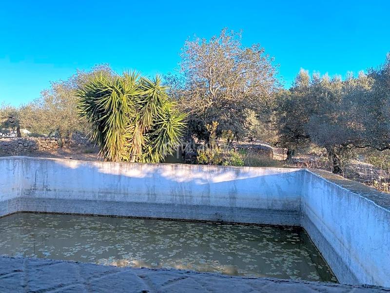 Foto fd83334d-812d-4f06-9482-75483f7e4988. Finca rústica a Perelló (El)