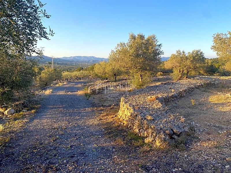 Foto 71b064d6-54b2-4105-ab67-f8d0f7945afd. Finca rústica en Perelló (El)