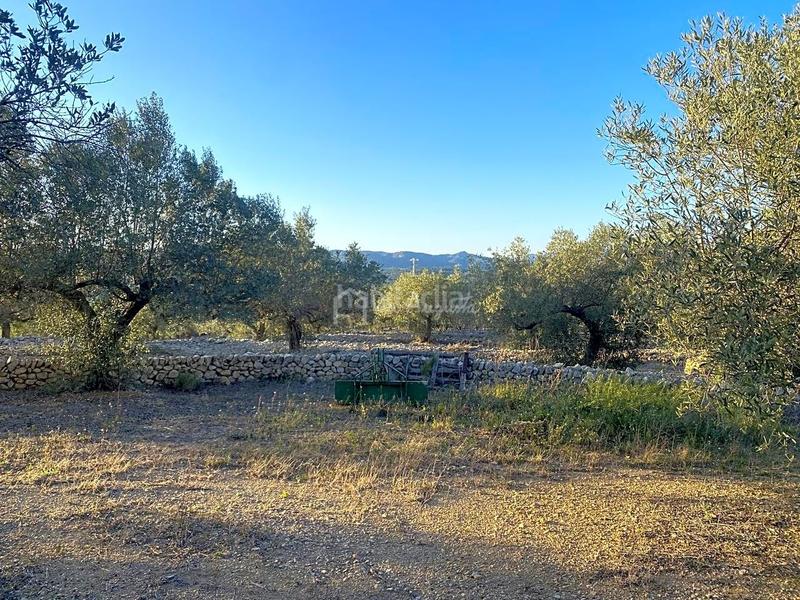 Foto 921847b6-1471-48c7-9bb1-07e031170177. Finca rústica en Perelló (El)
