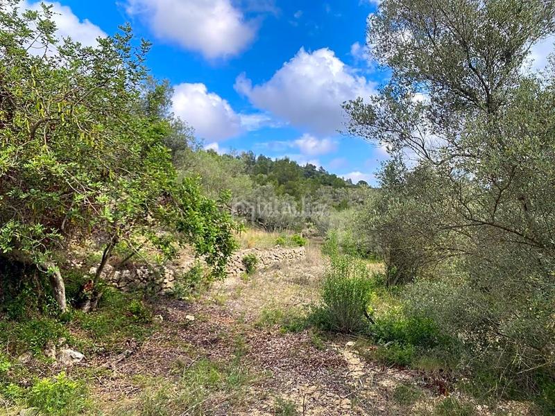 Foto 23e65062-39ee-4875-a2f2-05c5a18be466. Propriété dans Perelló (El)