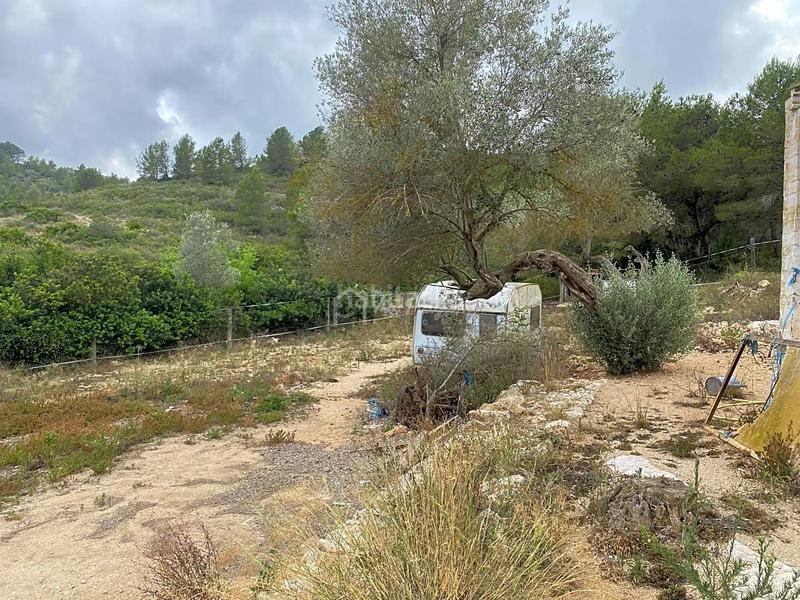 Foto 3fd8dec3-226b-4a65-a9d6-c3f33314b9ad. Propriété dans Perelló (El)