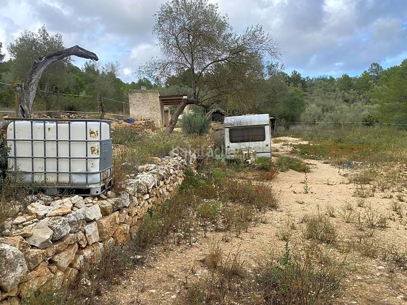 Foto 746c2941-3385-496d-be5c-2ff2be958141. Propriété dans Perelló (El)