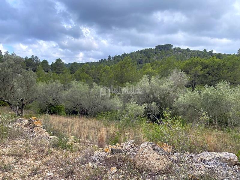 Foto 78ad2baf-ee90-42d6-9cf1-6edeeeae644c. Propriété dans Perelló (El)