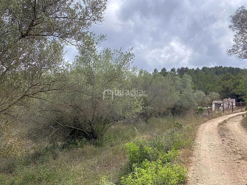 Foto e3b9b9b2-8b88-44eb-8487-3f8e39522533. Propriété dans Perelló (El)