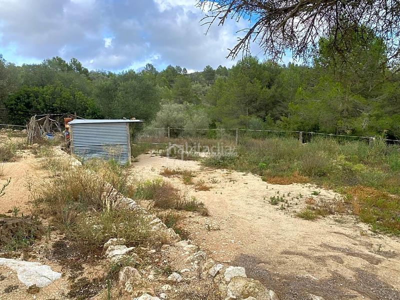 Foto 2b82cc8d-29bb-48d4-b939-4018f8cfcdb0. Rural plot in Perelló (El)
