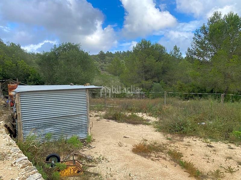 Foto 7bf3f897-1fe9-4b92-9bfd-ce9678412c32. Rural plot in Perelló (El)