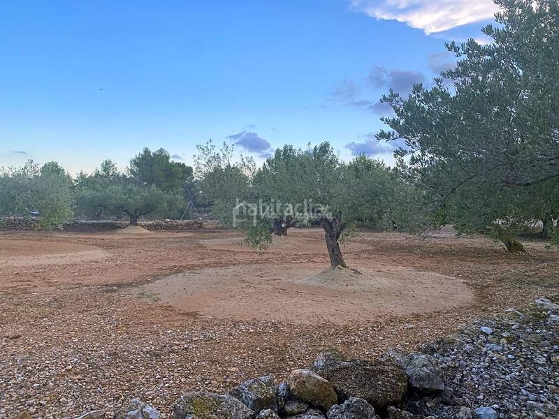 Foto 14552c4d-5162-454f-92f6-26949fb6fb92. Masia a Roques Daurades-L´Estany Ametlla de Mar (L´)