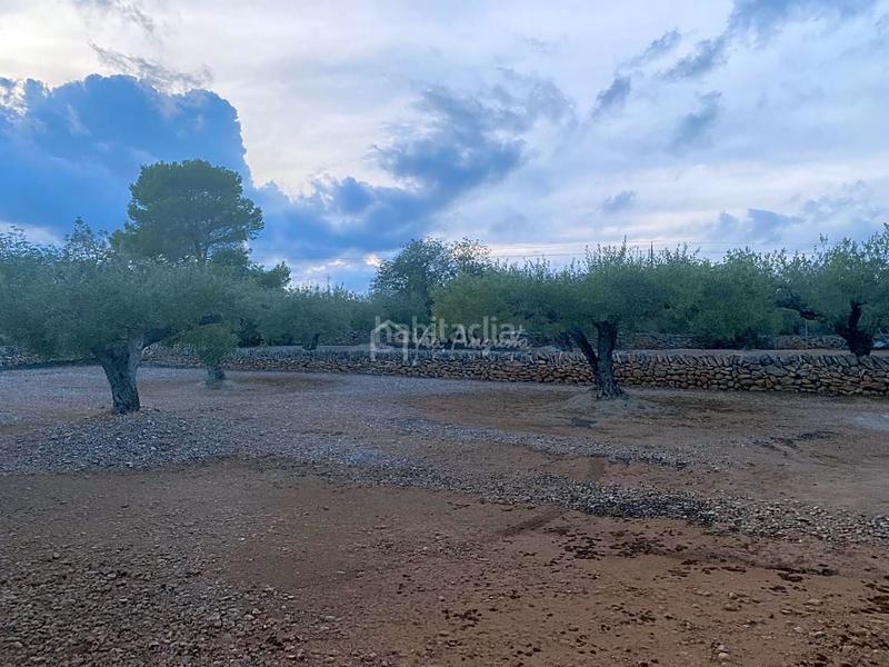Foto 1d7b53ae-eaf3-4f9b-bfbb-a59f696240d0. Masia a Roques Daurades-L´Estany Ametlla de Mar (L´)