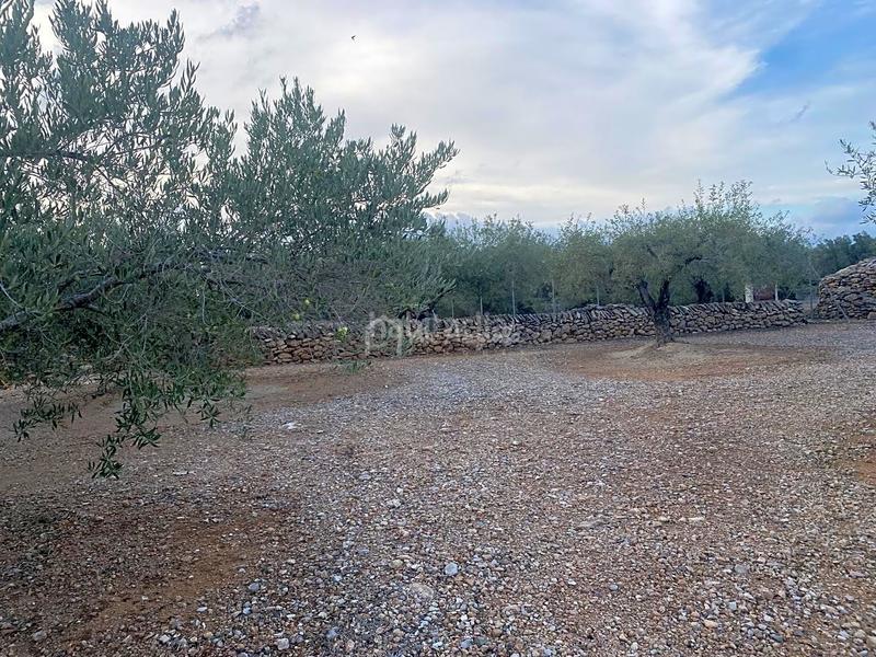 Foto 60890a84-b68d-43bb-bdb8-ddedfab58244. Masia a Roques Daurades-L´Estany Ametlla de Mar (L´)