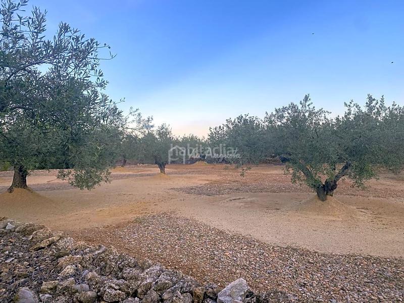 Foto 871df76f-dcb4-4c6f-85d5-ae1ba10d2cd9. Masia a Roques Daurades-L´Estany Ametlla de Mar (L´)