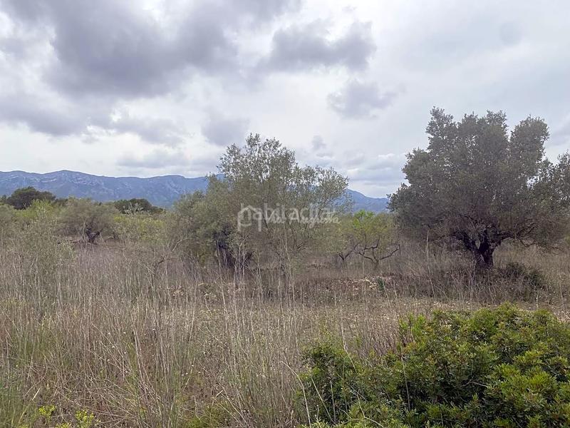 Foto 5236c33c-0ab3-47cc-919e-5382f865b682. Rural plot in L´Ametlla de Mar Ametlla de Mar (L´)