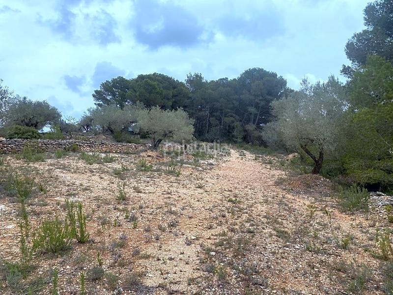 Foto b41c6621-5d57-457d-8206-88489c688441. Rural plot in L´Ametlla de Mar Ametlla de Mar (L´)