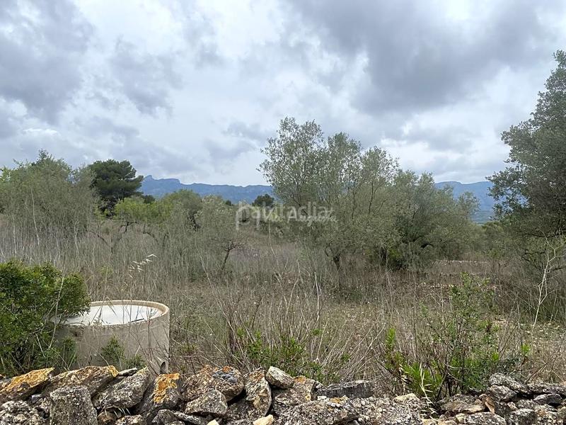 Foto c2dadfc4-0e54-45a8-b2b9-296ddf076516. Rural plot in L´Ametlla de Mar Ametlla de Mar (L´)