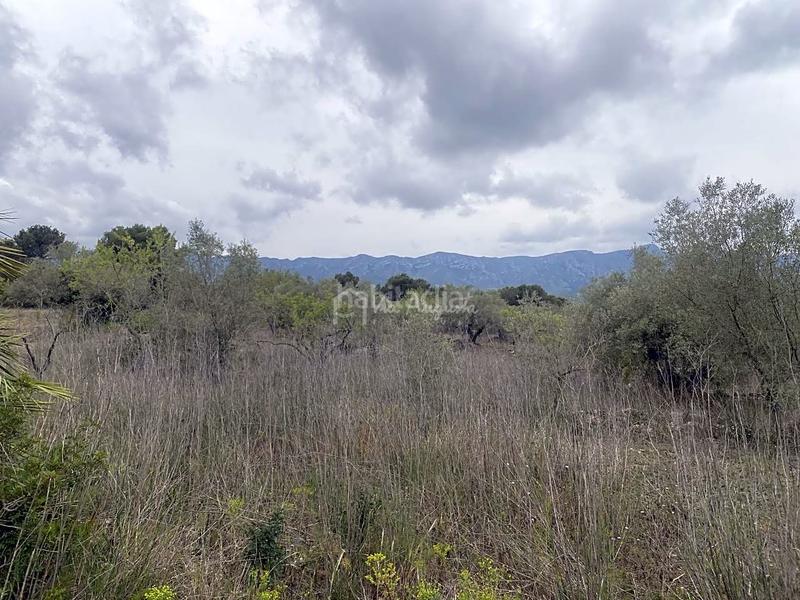 Foto fc634115-7053-41ab-8c3b-87f05ae00895. Rural plot in L´Ametlla de Mar Ametlla de Mar (L´)