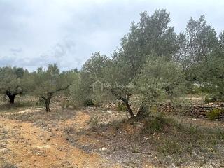 Finca rústica  Burga