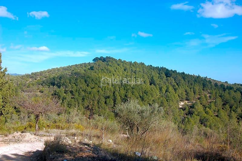 Foto 0d5e09fd-fe07-479f-a3b8-7a72ff4807b2. Finca rústica a Perelló (El)