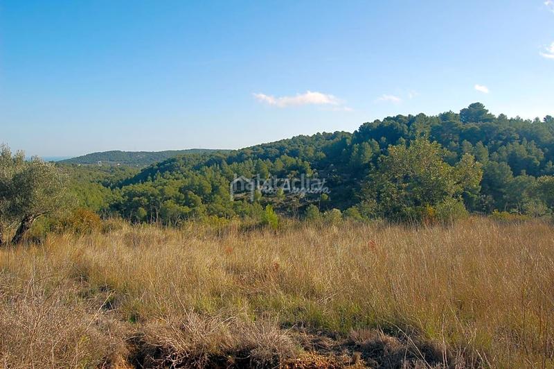 Foto 8b049b3c-c7de-4175-8cfa-3f757b3bc863. Finca rústica a Perelló (El)