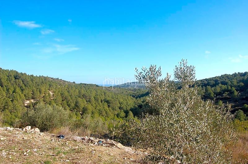 Foto f19d2e19-455a-43af-ade3-a14368c1a854. Finca rústica a Perelló (El)