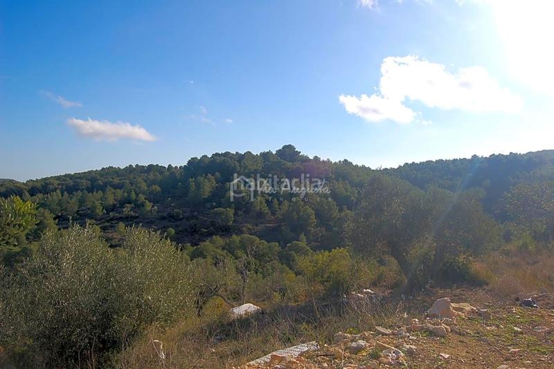 Foto 6fd55a22-a7c6-41d5-8d0d-c9f84f0aacfd. Finca rústica en Perelló (El)