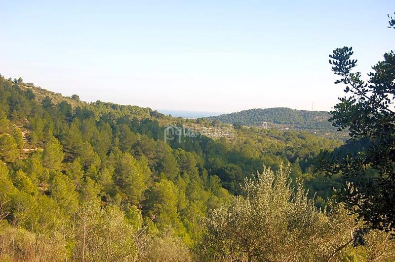 Foto d827e8d8-5ecd-4190-a6b6-4d42c6bfb314. Finca rústica en Perelló (El)