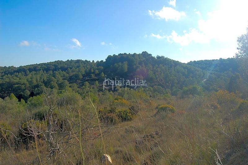 Foto e10fe2ee-418b-462e-9b29-049e1a01b393. Finca rústica en Perelló (El)