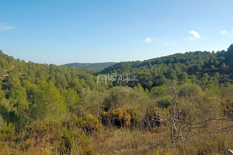 Foto f8500baa-97bc-4b69-927b-3a7a86b6ae29. Finca rústica en Perelló (El)