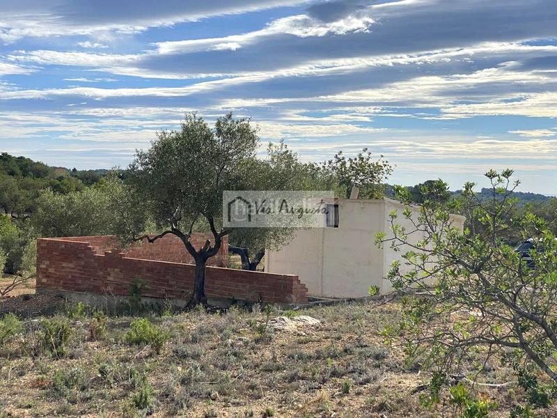 Foto 1284783c-9085-4b92-bf5f-728abd23f04d. Fondo rustico in Ampolla (L´)