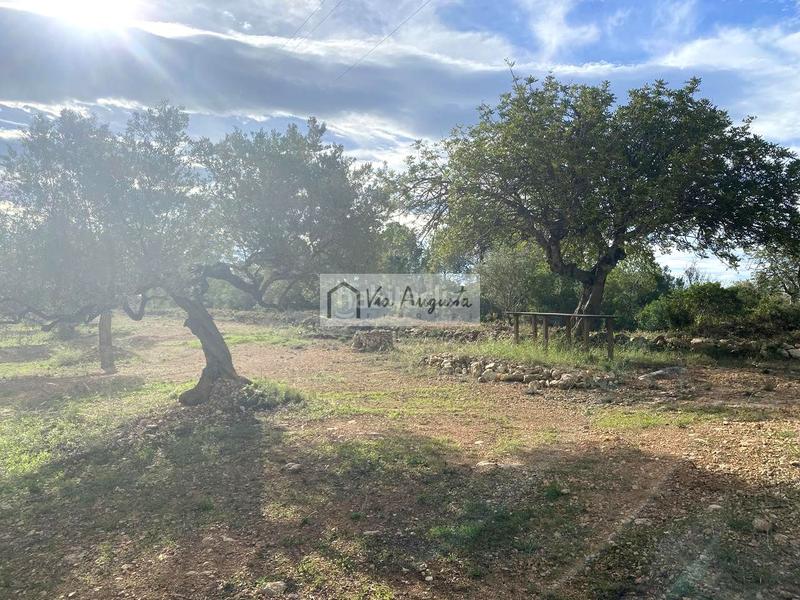 Foto 7adb6be1-c1a6-4016-a176-728b66e98356. Landgut in Ampolla (L´)